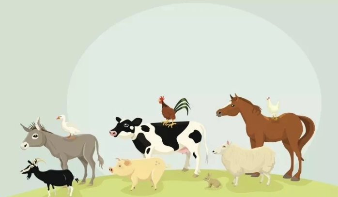 微信截圖_20211221165001